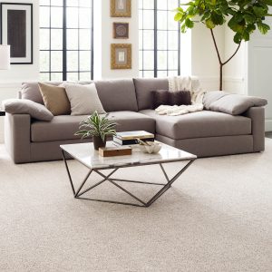 Living Room Carpet | Custom Floor & Design