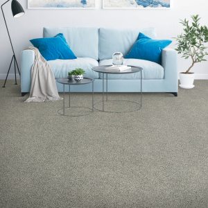 Carpet Texture | Custom Floor & Design
