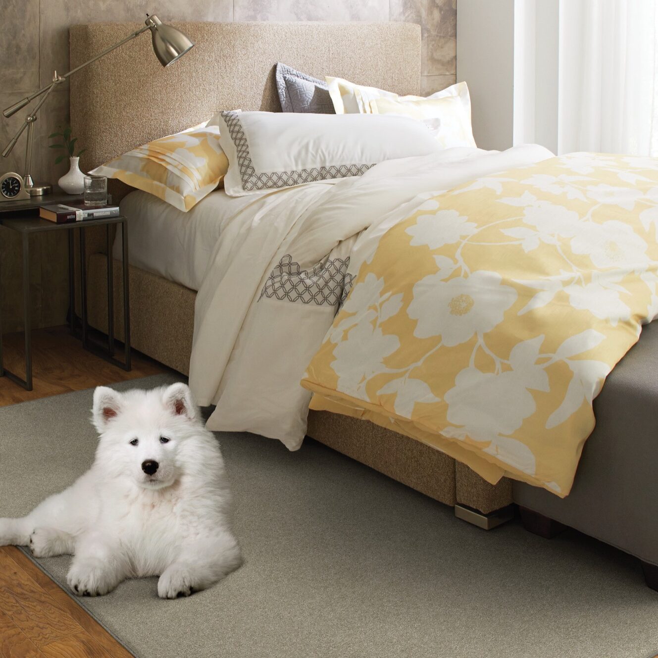 Bed vignette with dog laying down on rug | Custom Floor & Design